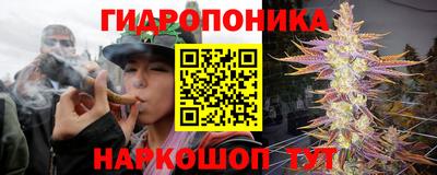 прущая мука Канаш